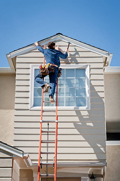 Best Steel Siding Installation  in Piney, AR